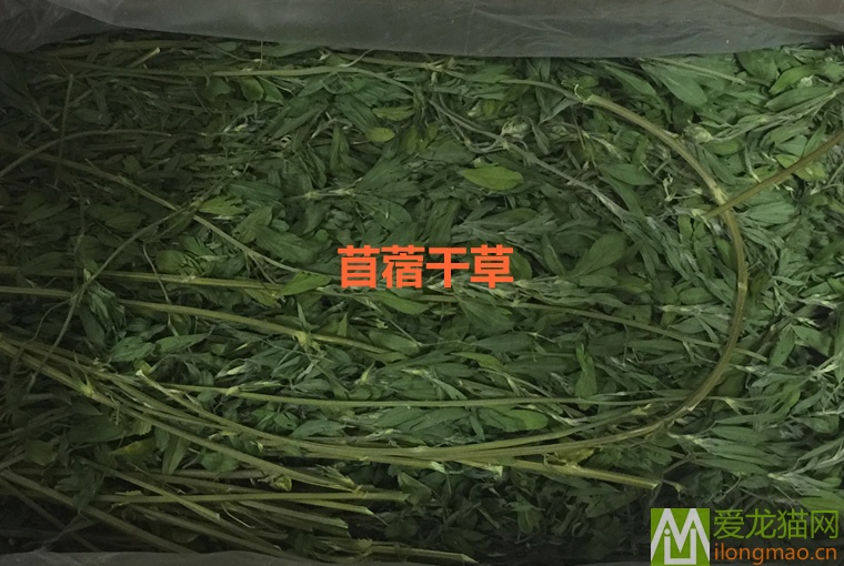 苜蓿干草图片